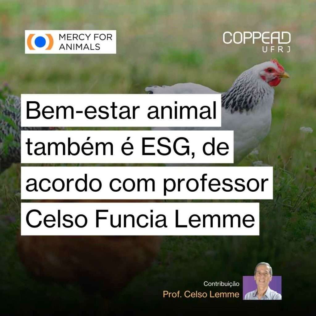 Bem-estar animal também é ESG, de acordo com professor Celso Funcia Lemme